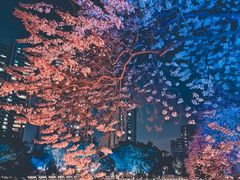 -红星桥(地铁站)