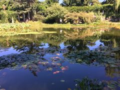 -国家植物园南园