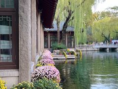 -趵突泉景区