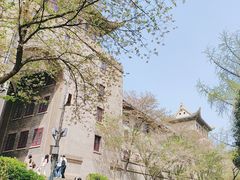 -武汉大学-樱园
