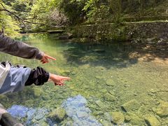 -白云源风景区