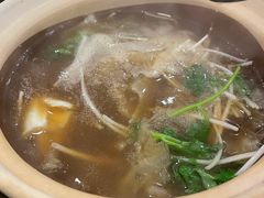 -大中鱼翅 Taitong Shark Fin