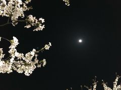 -三好坞景观餐厅