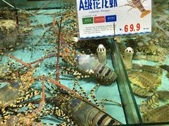 -渔民新村(番禺总店)