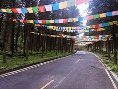 -硗碛藏寨·神木垒景区