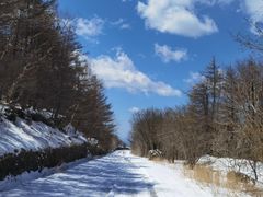 -白草畔自然风景区