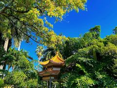 -南宁南湖公园