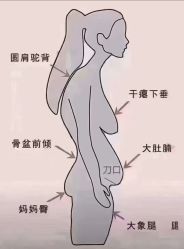 -金美秀养生瘦身