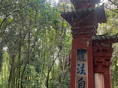-成都老君山