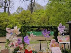 -上海共青森林公园