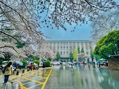 -武汉大学-樱园