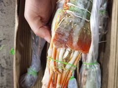 -杭州冷冻食品交易市场