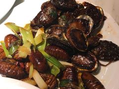 -日丰园海肠水饺·老字号大连海鲜(和平广场店)