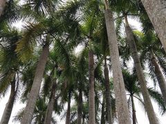 -中国科学院西双版纳热带植物园