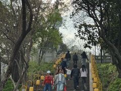 -龟山风景区-龟山电视塔