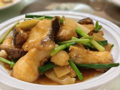 -黄埔华苑酒家(黄埔店)