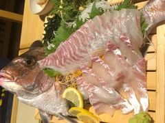 -ジャンボ釣船 つり吉(新世界店)