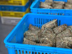 -召稼楼永茂昌粽子大王