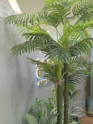 -八佰伴8008星级形象店