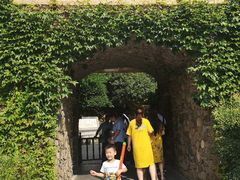 -藏龙百瀑风景区