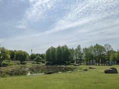 -滆湖低碳生态公园
