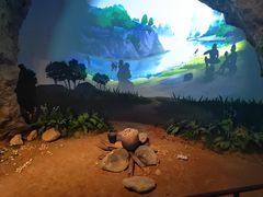 -广西壮族自治区博物馆