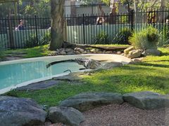 -费瑟代尔野生动物园