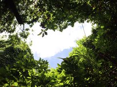 -青青世界