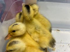 -404干式熟成牛排馆•聚会餐厅