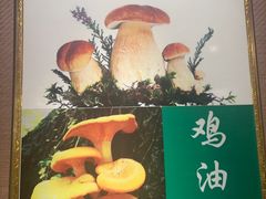-菌之家·专业纯野生菌火锅·特色炒菌