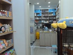 -四月宠物医院·猫专科·心脏专科·内科(转塘店)