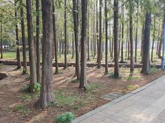 -滆湖低碳生态公园