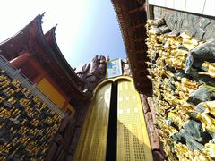 -上海东林寺(金山区)