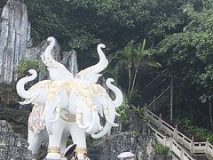 -西双版纳勐泐文化旅游区