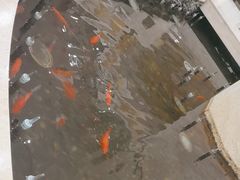 -碧中海汤泉汗蒸酒店