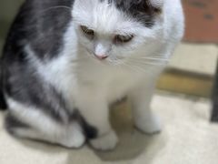 -藏猫猫咖啡主题馆(中央大道店)