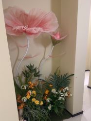 -奈弗里·疗愈SPA·美肤中心