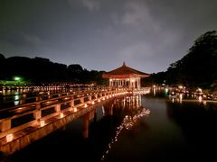 -奈良公园