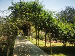 -人民公园(罗湖区)