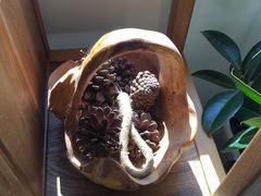 -大無·观心健康体质调理馆