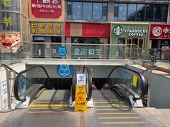 -盒马鲜生(双清路店)