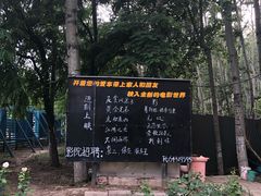 -枫花园汽车电影院(朝阳公园店)