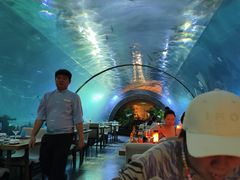 -海棠湾洲际-涛·海底餐厅·美人鱼·自助餐·海底隧道