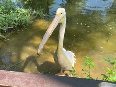 -济南野生动物世界