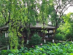 -桂湖森林公园