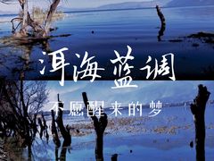 -大理洱海