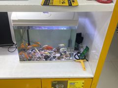 -千米手机电脑维修回收(金银湖店)
