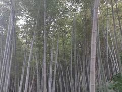 -南山风景名胜区