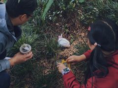 -金鸡湖桃花岛