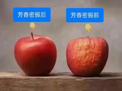 -鼎族怡华·指压·油压·经络(西单昌盛大厦店)